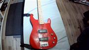 PEAVEY FOUNDATION